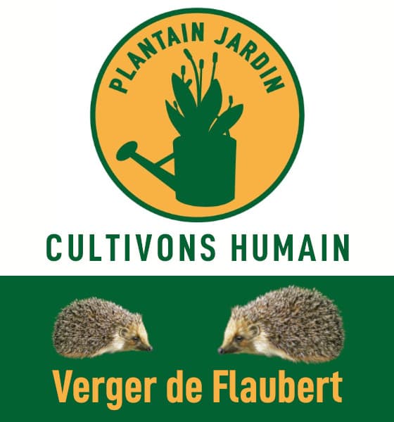 Verger de Flaubert - asso Plantain Jardin