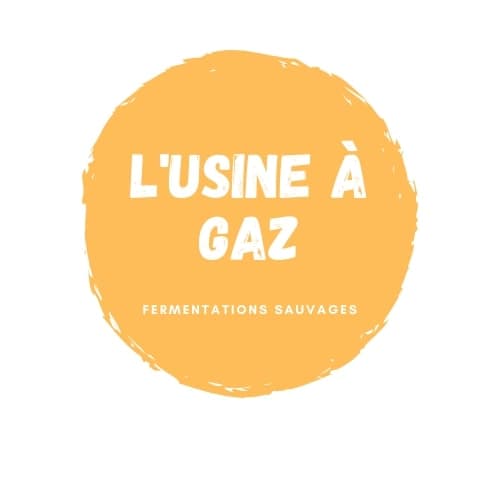 L'Usine à Gaz