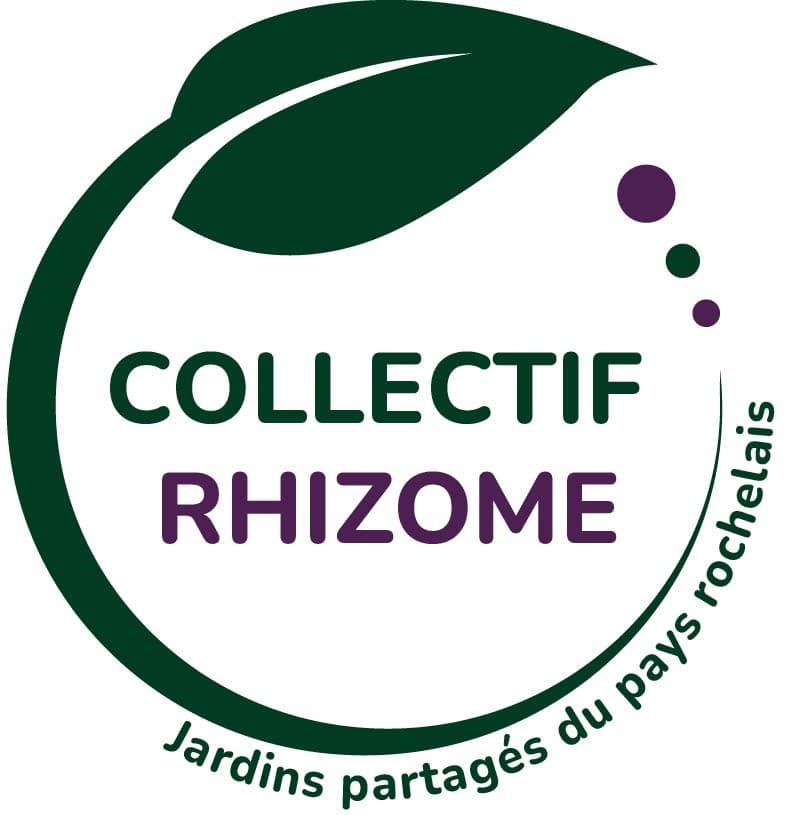 Le Collectif Rhizome