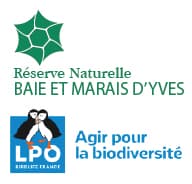 Réserve naturelle nationale de la baie et du marais d'Yves - LPO