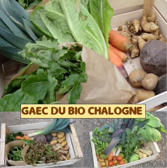 GAEC DU BIO CHALOGNE