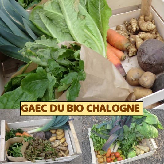 GAEC DU BIO CHALOGNE