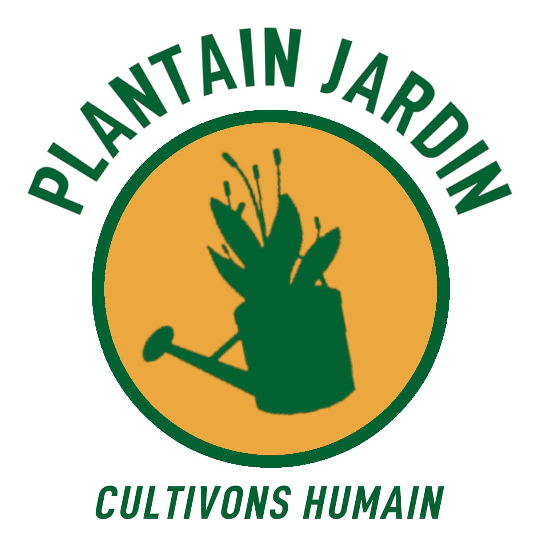 Plantain Jardin