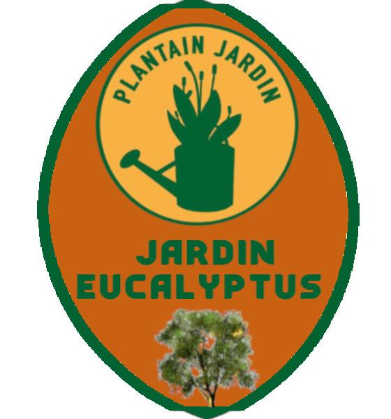 Jardin Eucalyptus - Asso Plantain Jardin